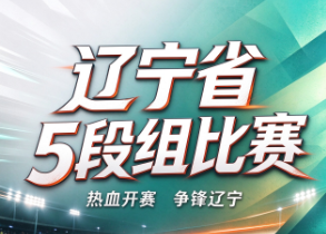 2026全民围棋等级争霸赛（辽宁赛区）暨辽宁省冬季围棋段位赛（5段组）竞赛规程